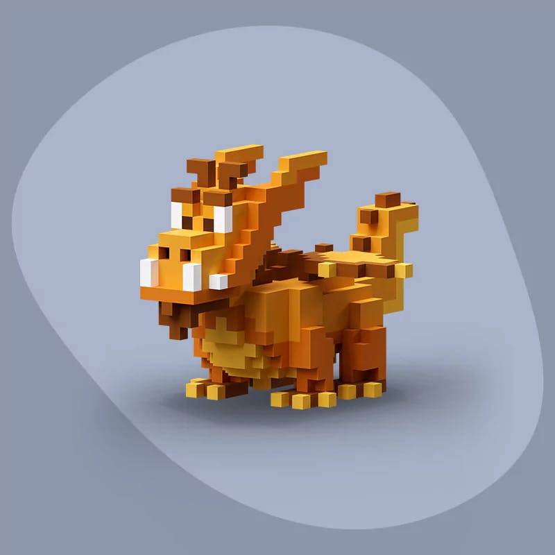 pet Golden Dragon