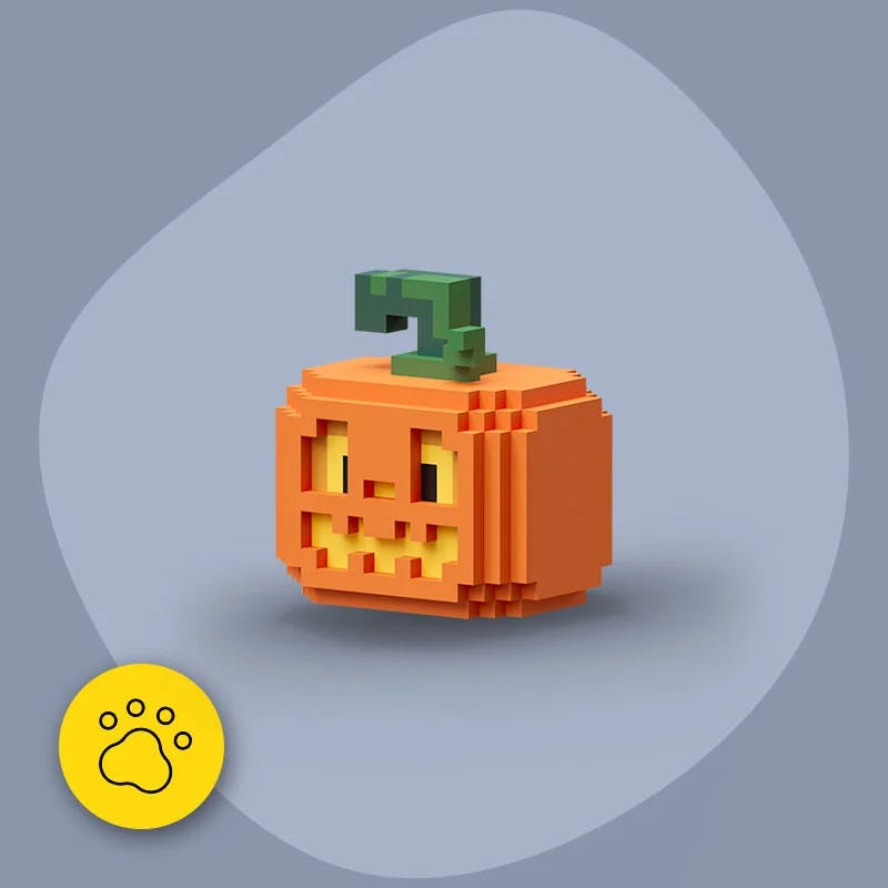 pet Pumpkin