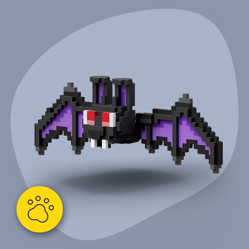 pet Vampire Bat